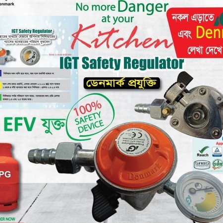 Gas Safety Regulator